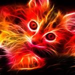 Profile Picture of Debbie Wiles (@debbie.johnston.77398) on Instagram