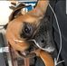 Profile Picture of Brian Clegg (@brian.clegg.9081) on Facebook