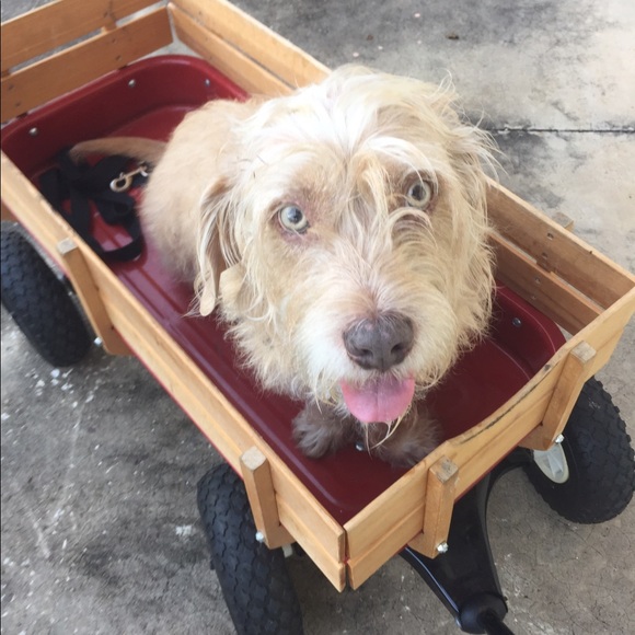 Profile Picture of April Morse (@aprilinthehills) on Poshmark