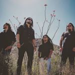 hyproglo Metal - Instagram Profile Picture of hyproglo Metal (@cesarperalta9540) on Instagram