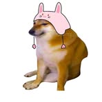 Profile Picture of Aaron Massaro (@aaron.massaro.374) on Facebook