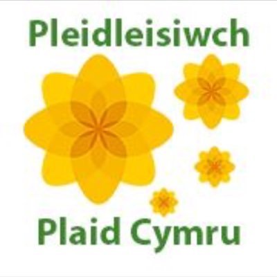 Profile Picture of Stephen Rosser (@carreg70) on Twitter