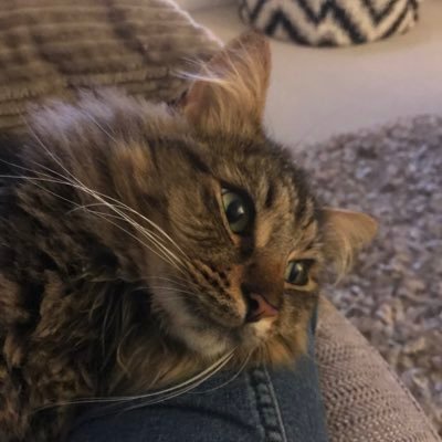 Profile Picture of Julia Kimble (@juliacrumble) on Twitter