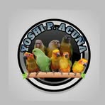 Profile Picture of Yoshi Monte Mayor (@yoshi.monte.mayor.2024) on Facebook