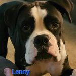 Amanda Imsenik - Instagram Profile Picture of Amanda Imsenik (@amanda_imsenik) on Instagram