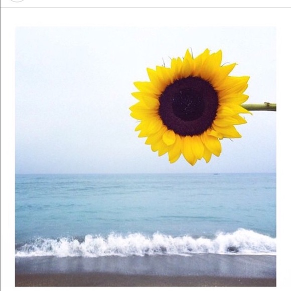 Profile Picture of Paola Angulo (@violetmr23) on Poshmark