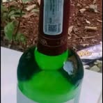 Profile Picture of Ana Kelet (@Ana-Kelet) on Facebook