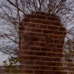 Profile Picture of Stephen Daniel Schumm (@buonocchio) on Instagram