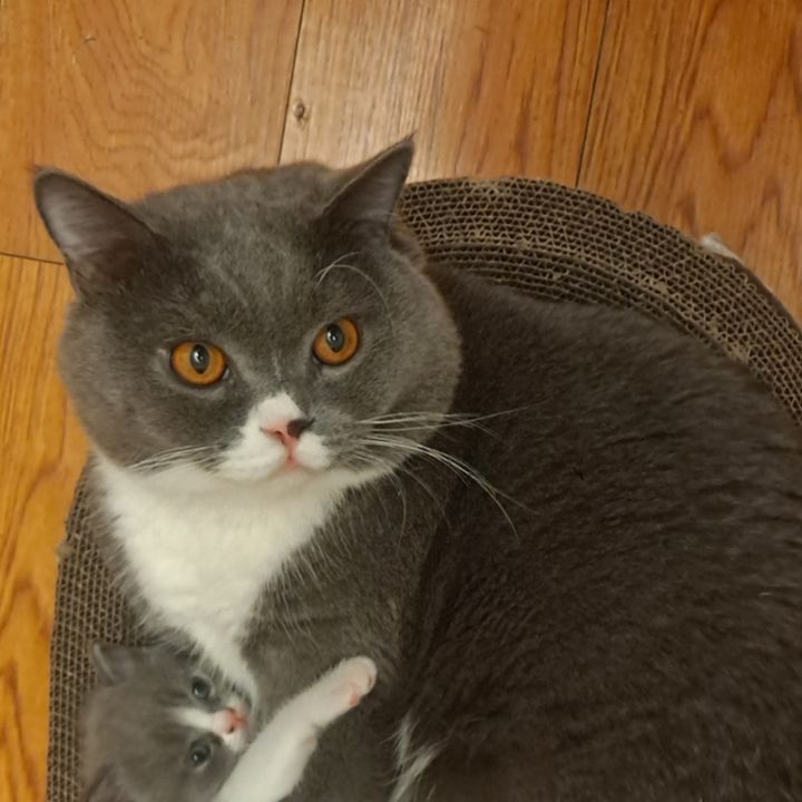 Profile Picture of JASONAL (@batiann1) on Tiktok