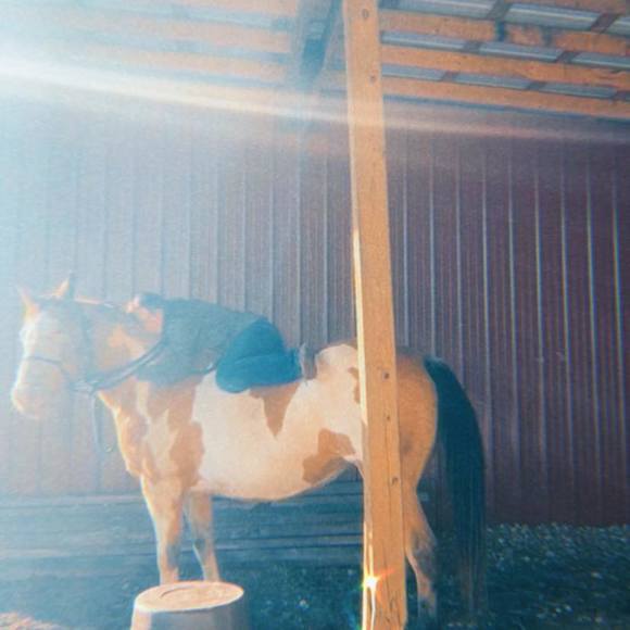 Profile Picture of Robbie Venker (@robbievenker) on Poshmark