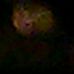 Profile Picture of Kaylee Whitney (@kaylee.whitney.14) on Facebook