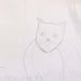Profile Picture of Hunter Pearson (@hpearson2023) on Pinterest