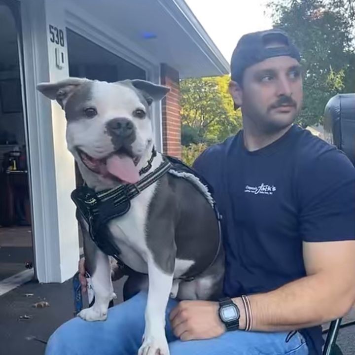 Profile Picture of Danny Pignato (@dpigs) on Tiktok