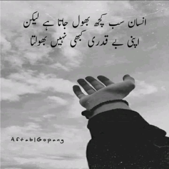 Profile Picture of Adnan Farooq (@adnanbodla174) on Tiktok