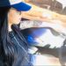 Profile Picture of Paula Acosta (@paulafgacosta) on Pinterest