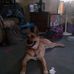 Profile Picture of Coty Malson (@Coty-Malson) on Facebook