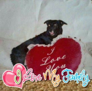 Profile Picture of Pat Bradshaw (@pat.bradshaw.777) on Facebook