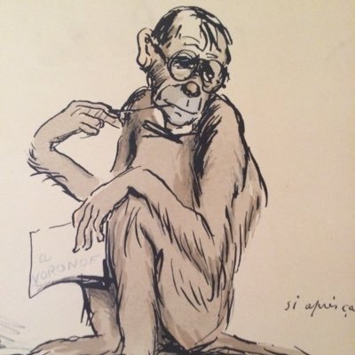 Profile Picture of Matthew Knopp (@MatthewKnopp) on Twitter