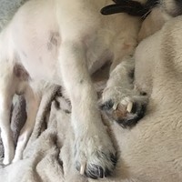 Profile Picture of Joshua Marshall Hodson (@joshua-marshall-hodson) on Quora