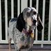 Profile Picture of Shannon Sutliff (Shannon Robinson Sutliff) (@shannon.sutliff) on Facebook