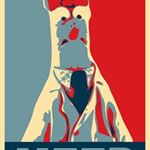 Profile Picture of Greg Snyder (@edit_greg) on Instagram