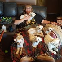 Profile Picture of Jamie Pearson (@jamie-pearson-46) on Quora