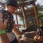 Profile Picture of Carl Chambers (@carl.chambers.583) on Instagram