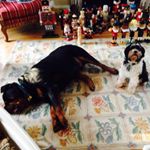 Julia Culhane - Instagram Profile Picture of Julia Culhane (@julia_pandaculhane) on Instagram