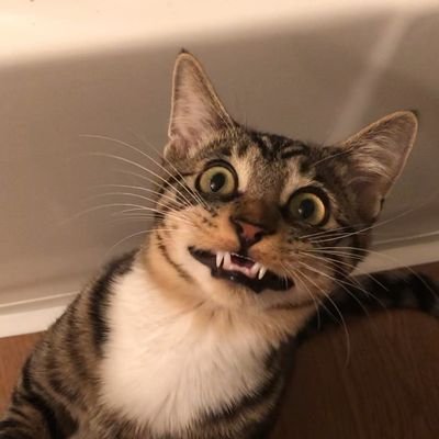 Profile Picture of Juan Andrés (@JuanDHers) on Twitter