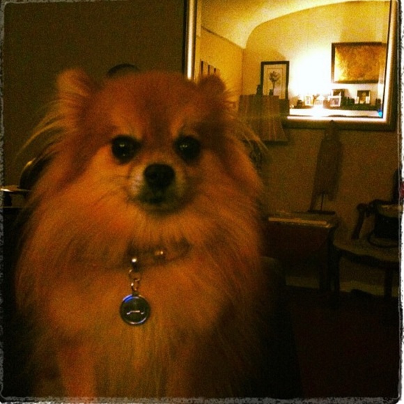 Profile Picture of Daniel Yon (@danielyon) on Poshmark