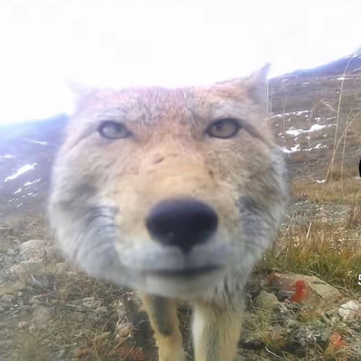 Biney - Tiktok Profile Picture of Biney (@rudy_coper) on Tiktok