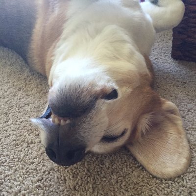 Profile Picture of Brad Reardon (@BradReardon) on Twitter