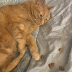 Profile Picture of Carson Fanning (@carson.fanning.794) on Facebook