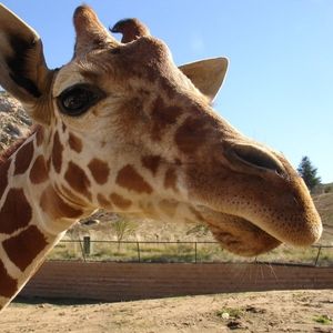 Makia Wilson - Myspace Profile Picture of Makia Wilson (@209577169) on Myspace