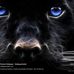 Profile Picture of Leonardo Botello (@alejandra.botello.3388) on Facebook