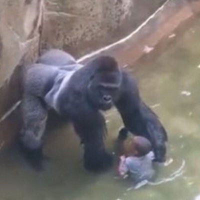 Profile Picture of Dawn Byrnes (@dawn_byrnes) on Twitter