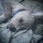 Profile Picture of Cameron thomas stemmerich (@cstemmerich22043) on Instagram