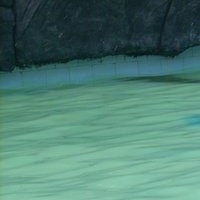 Profile Picture of Alex Quintal (@alex-quintal-1) on Quora