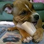 Profile Picture of Matthew Thistlethwaite (@matthewthistlethwaite) on Instagram