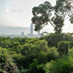 Profile Picture of 欧阳本强 (@ouyangbenqiang) on Instagram