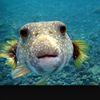 Profile Picture of conner_thompson (@conner_thompson) on Tiktok