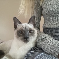 Profile Picture of Jasmine Mckenna  (@jasmine-mckenna-9) on Quora