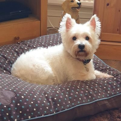 Profile Picture of Janet Mather (@JanetMather2) on Twitter