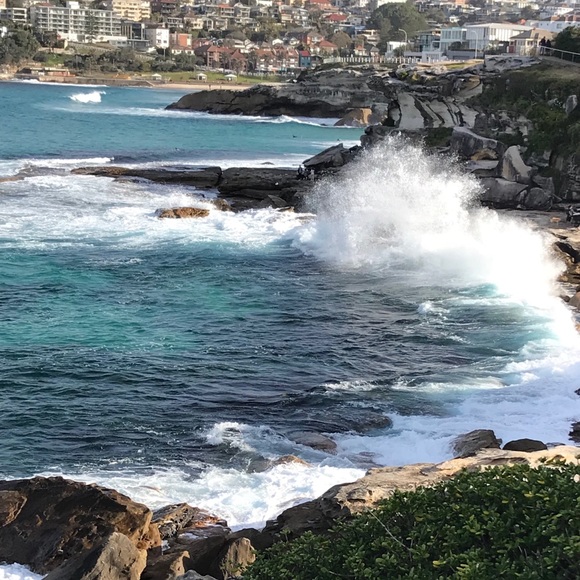 Profile Picture of Katie Compagnone (@katiecompagnone) on Poshmark