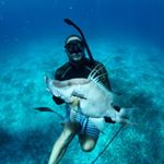 Profile Picture of Jason Pfahl (@jason_pfahl) on Instagram