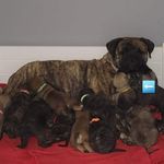 Profile Picture of Debbie Burrows (@debbie.burrows1) on Instagram