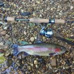 Profile Picture of Thomas Strickler (@thomas.strickler.5) on Facebook