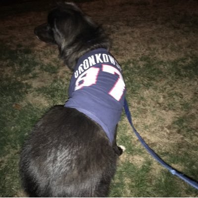 Profile Picture of Dave Voller (@dpv1213) on Twitter