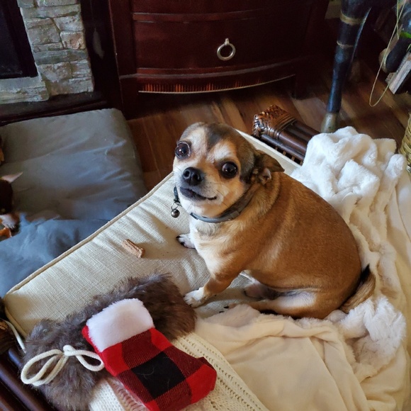 Profile Picture of Aspasia Kontaxis (@bebalou_1) on Poshmark