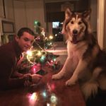 Profile Picture of Mark Morris (@markkmorris20) on Instagram